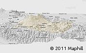 Shaded Relief Panoramic Map of Cartago, desaturated