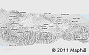 Silver Style Panoramic Map of Cartago