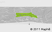 Physical Panoramic Map of Anyama, lighten, desaturated