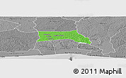 Political Panoramic Map of Anyama, desaturated