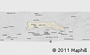 Shaded Relief Panoramic Map of Anyama, desaturated