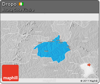 Political 3D Map of Dropo, lighten, desaturated