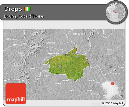 Satellite 3D Map of Dropo, lighten, desaturated