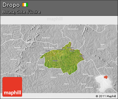 Satellite 3D Map of Dropo, lighten, desaturated