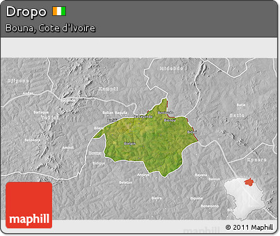 Satellite 3D Map of Dropo, lighten, desaturated