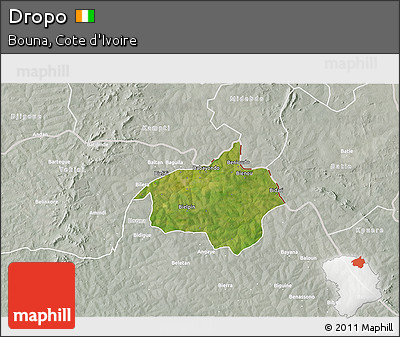 Satellite 3D Map of Dropo, lighten, semi-desaturated