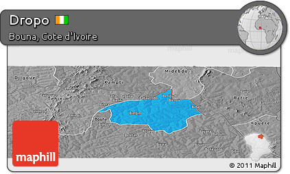 Political Panoramic Map of Dropo, desaturated