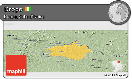 Savanna Style Panoramic Map of Dropo