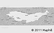 Gray Panoramic Map of Nassian