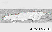 Gray Panoramic Map of Tehini
