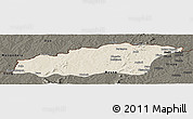 Shaded Relief Panoramic Map of Tehini, darken