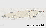 Shaded Relief Panoramic Map of Tehini, lighten