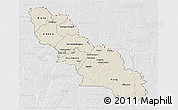 Shaded Relief 3D Map of Ferkessedougou, lighten, desaturated