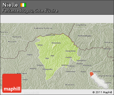 Physical 3D Map of Nielle, semi-desaturated