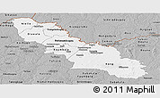 Gray Panoramic Map of Ferkessedougou