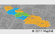 Political Panoramic Map of Ferkessedougou, desaturated