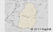 Shaded Relief Map of Blolequin, desaturated