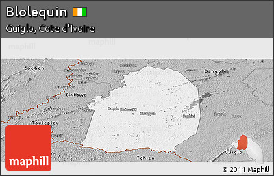 Gray Panoramic Map of Blolequin