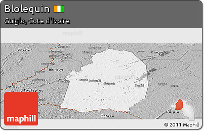 Gray Panoramic Map of Blolequin