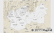 Classic Style 3D Map of Man