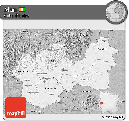 Gray 3D Map of Man