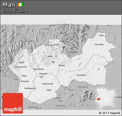 Gray 3D Map of Man