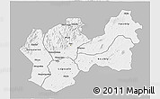 Gray 3D Map of Man, single color outside