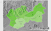 Political Shades 3D Map of Man, desaturated