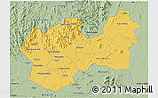 Savanna Style 3D Map of Man