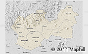 Shaded Relief 3D Map of Man, desaturated
