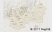 Shaded Relief 3D Map of Man, lighten