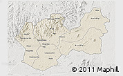 Shaded Relief 3D Map of Man, lighten, semi-desaturated