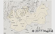 Shaded Relief 3D Map of Man, semi-desaturated