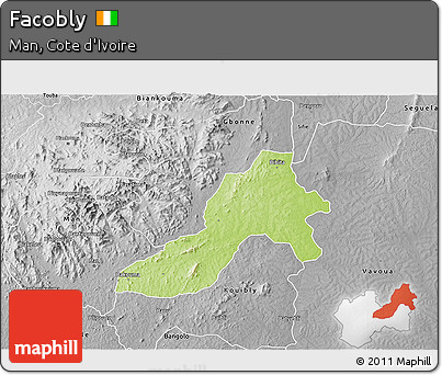Physical 3D Map of Facobly, desaturated