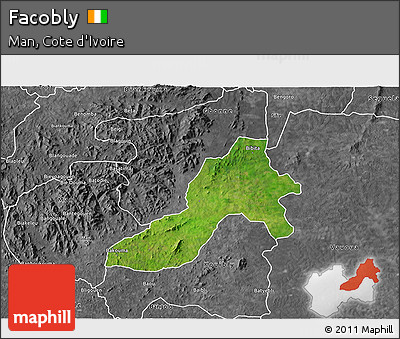 Satellite 3D Map of Facobly, desaturated