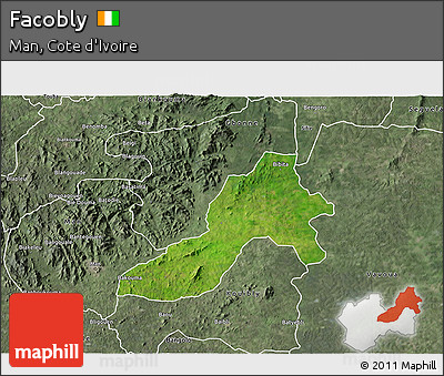 Satellite 3D Map of Facobly, semi-desaturated