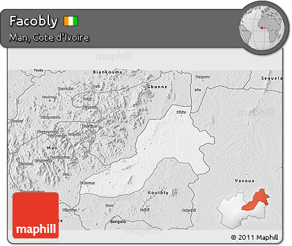Silver Style 3D Map of Facobly