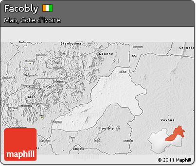 Silver Style 3D Map of Facobly