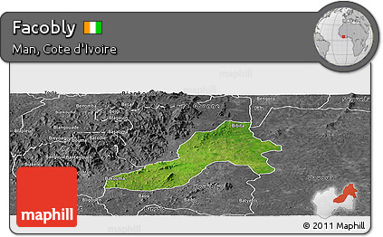 Satellite Panoramic Map of Facobly, desaturated