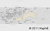 Shaded Relief Panoramic Map of Facobly, desaturated