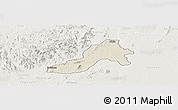 Shaded Relief Panoramic Map of Facobly, lighten