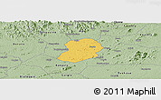 Savanna Style Panoramic Map of Logouale