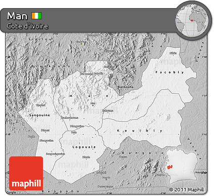 Gray Map of Man