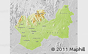 Physical Map of Man, lighten, desaturated