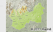 Physical Map of Man, semi-desaturated
