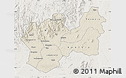 Shaded Relief Map of Man, lighten