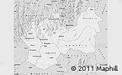 Silver Style Map of Man