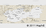 Classic Style Panoramic Map of Man