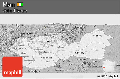 Gray Panoramic Map of Man