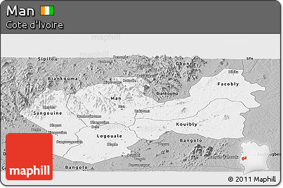 Gray Panoramic Map of Man
